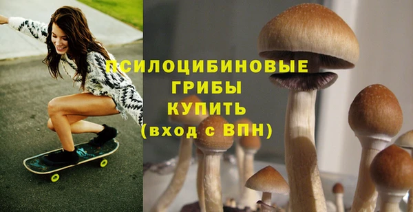эйфоретик Абаза