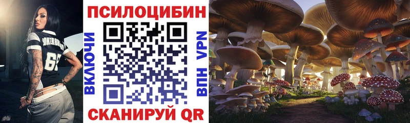 Псилоцибиновые грибы Cubensis  где купить наркоту  Иланский 